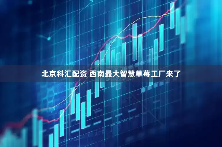 北京科汇配资 西南最大智慧草莓工厂来了