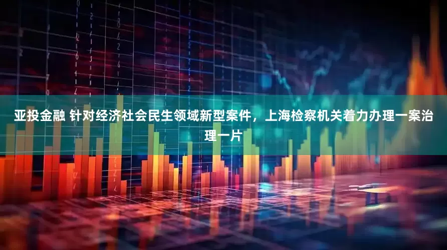 亚投金融 针对经济社会民生领域新型案件，上海检察机关着力办理一案治理一片